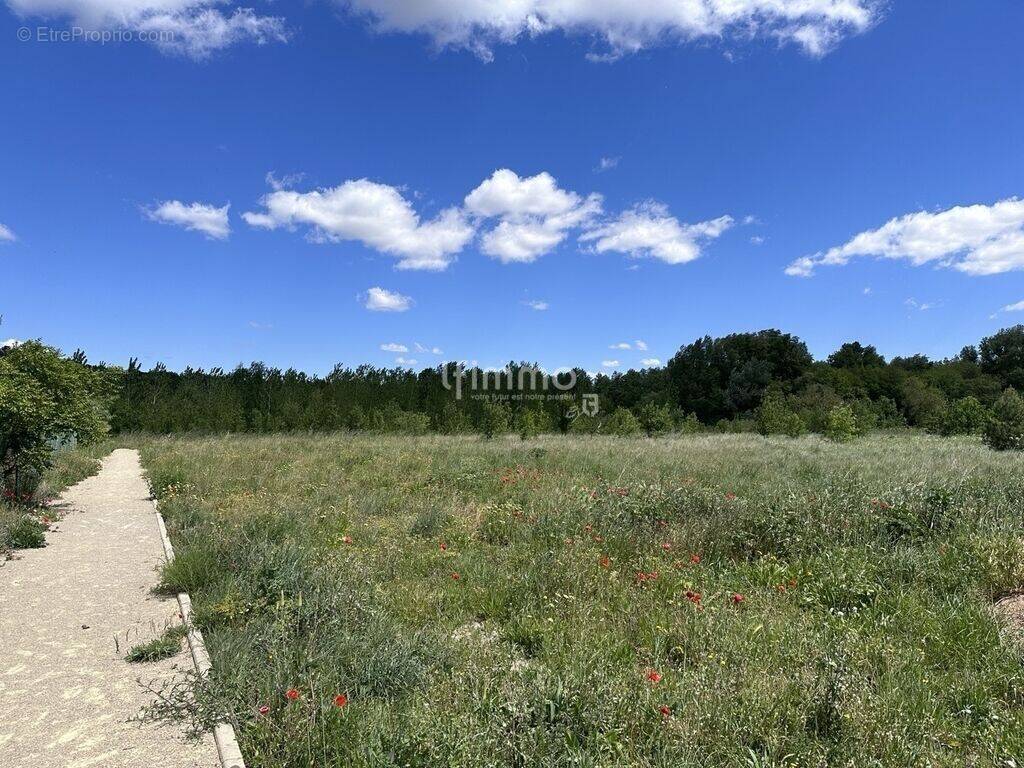 Terrain à CESSENON-SUR-ORB