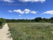 Terrain à CESSENON-SUR-ORB