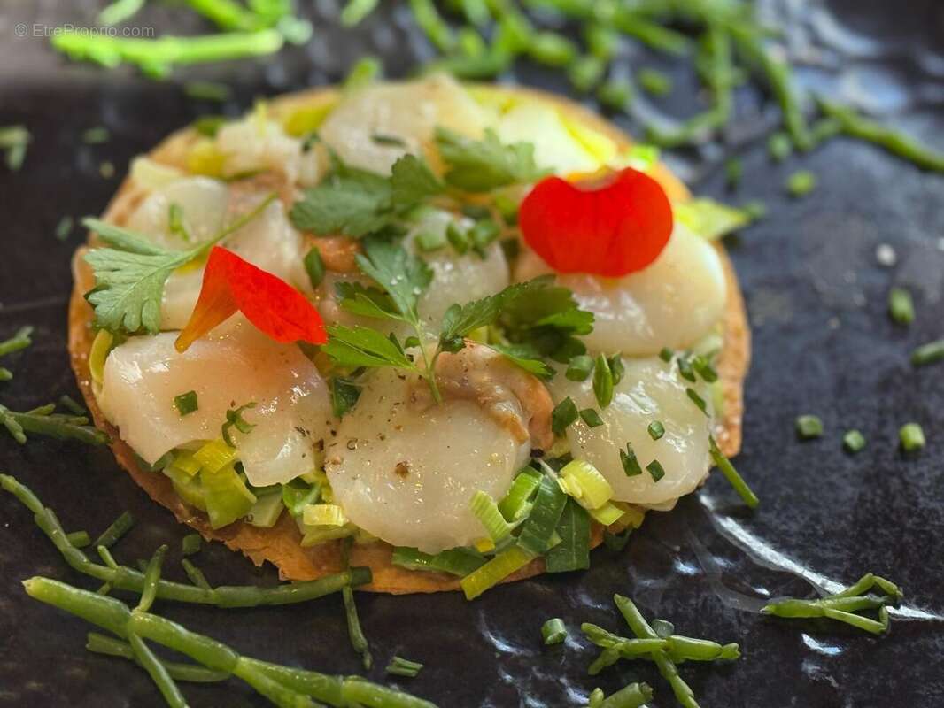 Photo 4 - Commerce à LE TOUQUET-PARIS-PLAGE