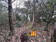 Terrain à CHATEAU-D&#039;OLONNE