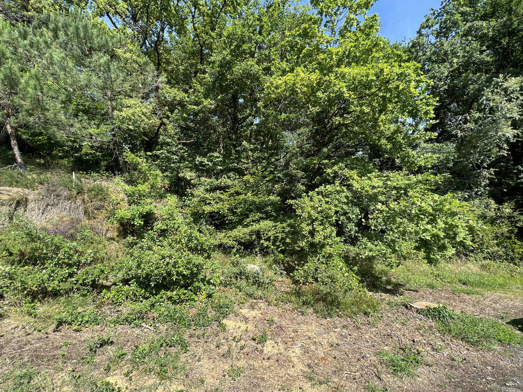 Terrain à BRIVE-LA-GAILLARDE