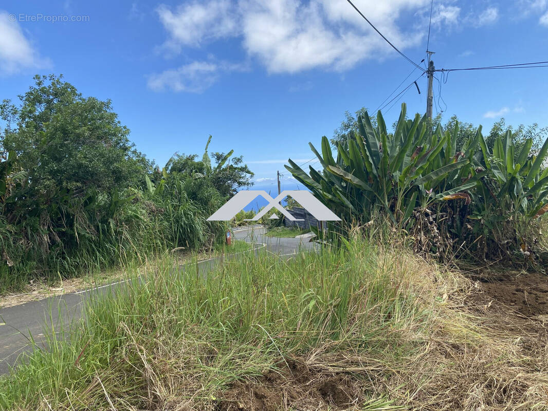 Terrain à SAINT-JOSEPH