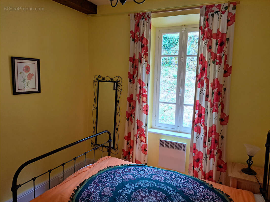 Maison en pierre 168m2, 11 pièces, terrasse et terrain à Carcanières les Bains - photo 5