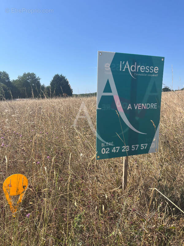 Terrain à LA CROIX-EN-TOURAINE