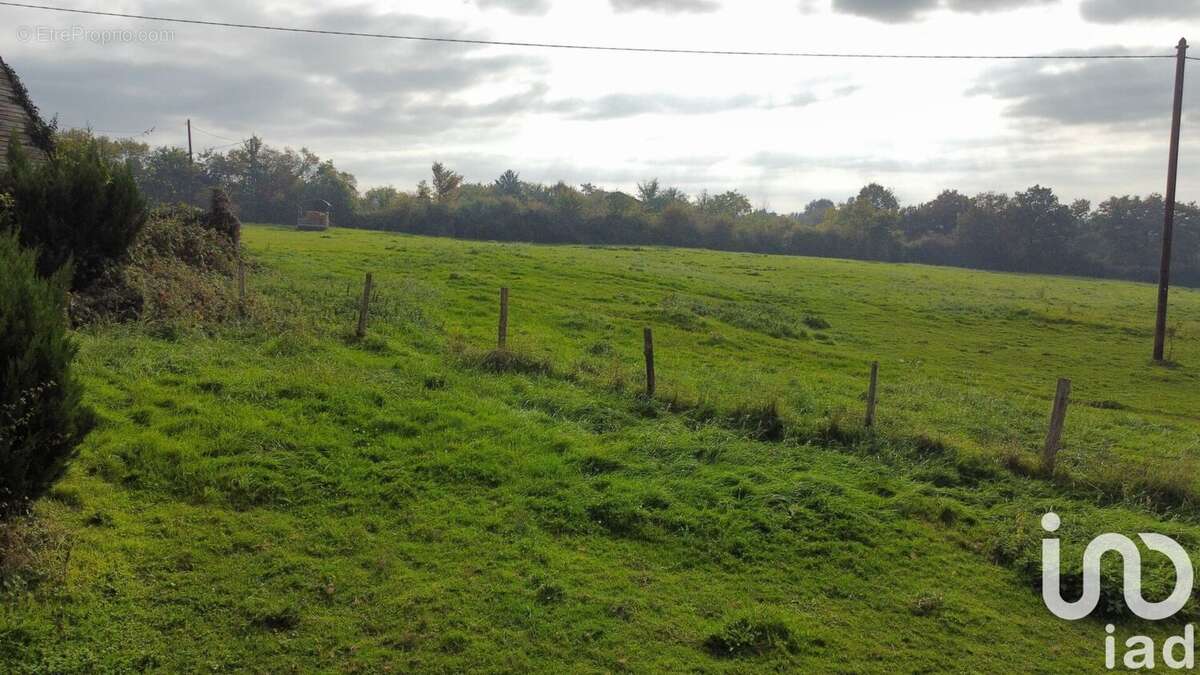 Photo 8 - Maison à SAINT-CALAIS