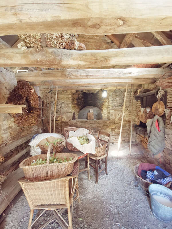 Maison d'artiste avec jardin botanique, source - Terrain 1,6 hectare - photo 34