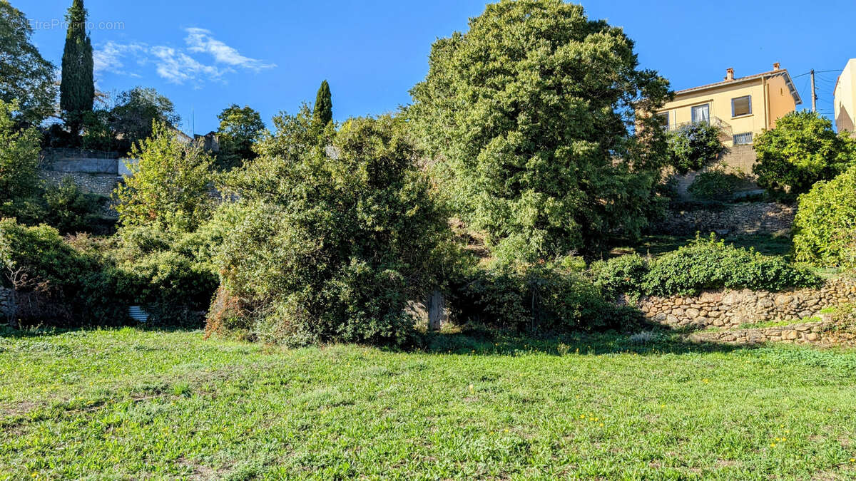 Maison à LAROQUE-DES-ALBERES