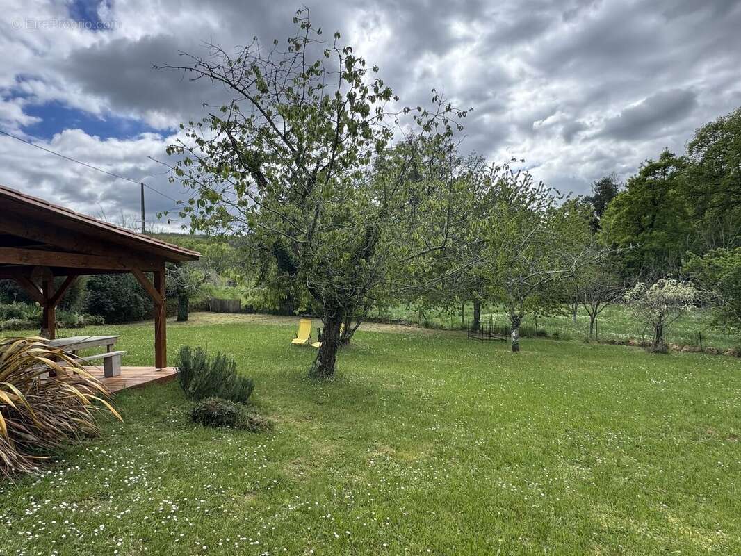 IMG2530 - Maison à LE BUISSON-DE-CADOUIN