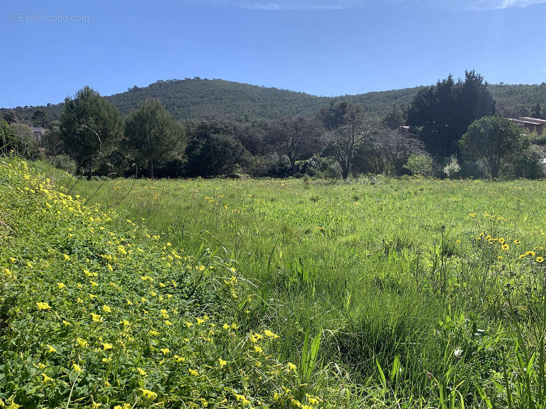 Terrain à LE PRADET