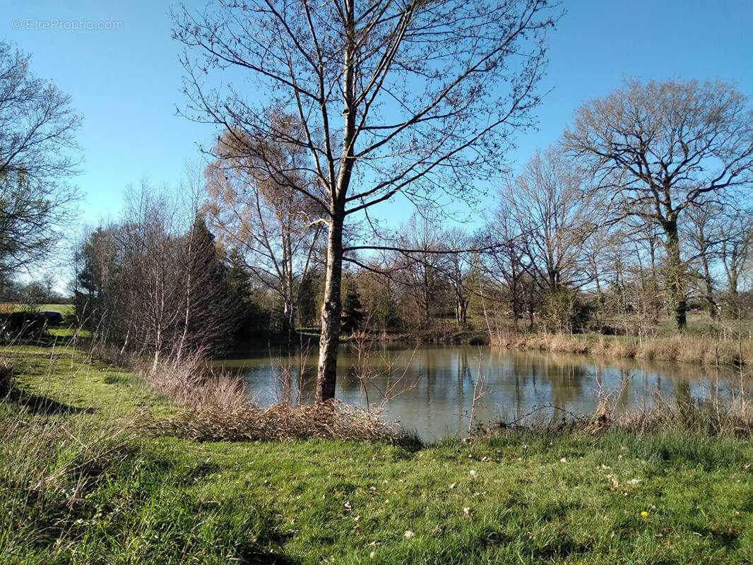 Terrain à MARCILLE-RAOUL