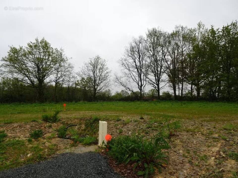 Terrain à SAINT-ANDRE-TREIZE-VOIES