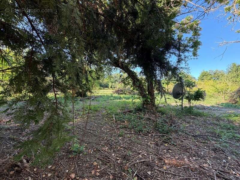 PLAISANCE du GERS proche(32): ANCIENNE PROPRIETE BOURGEOISE avec dépendances, bois, petit etang, 2 hectares,CALME, sans vis à vi - photo 20