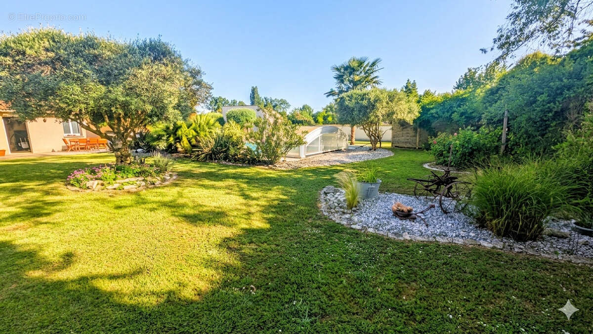 Photo 9 - Maison à COULON