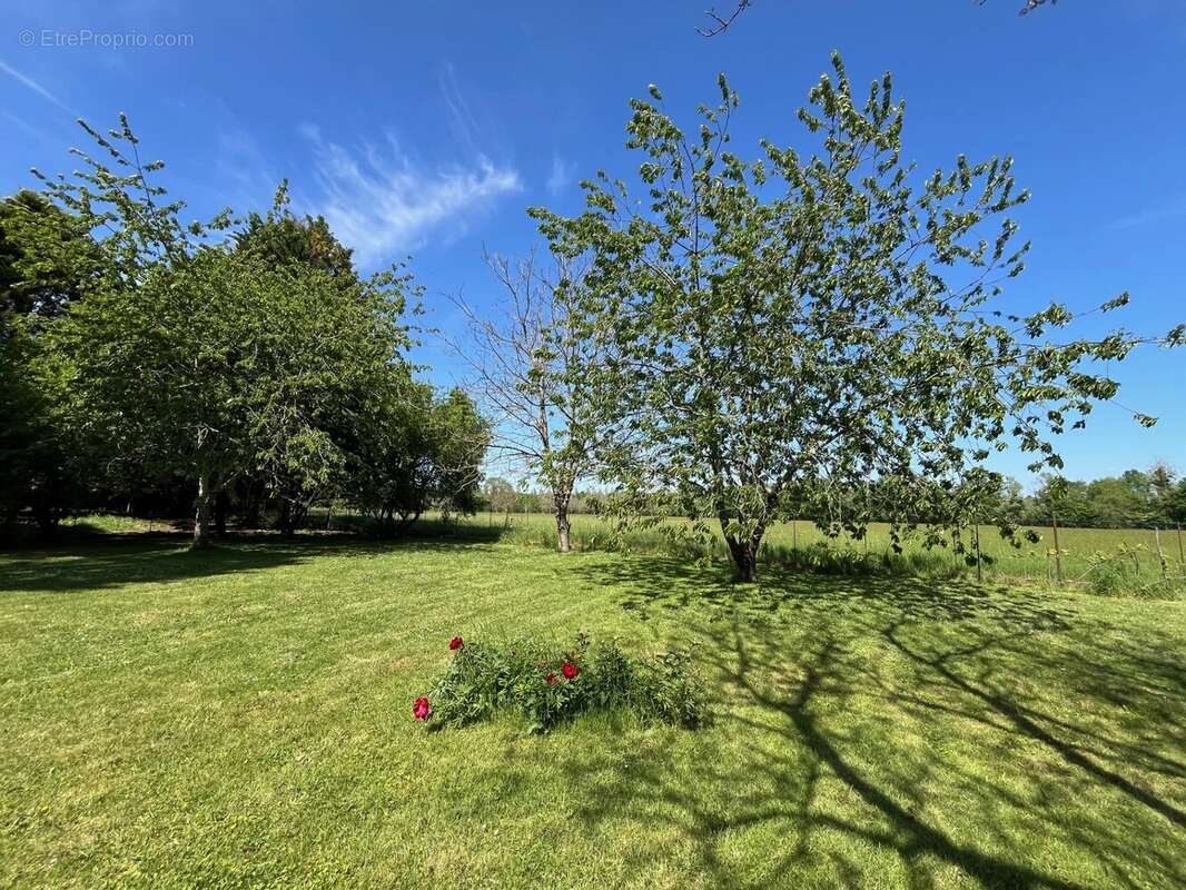 Maison à PETIT-BERSAC