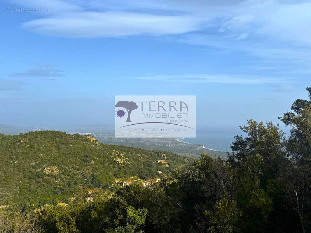 Terrain à SARI-SOLENZARA