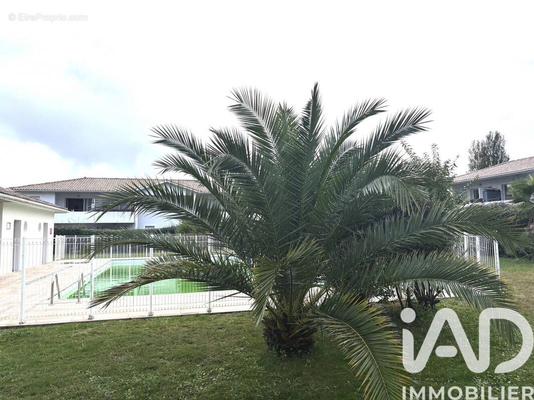 Photo 1 - Appartement à LA TESTE-DE-BUCH