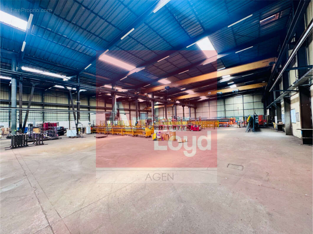 3150 m² à Castelculier  - photo 4