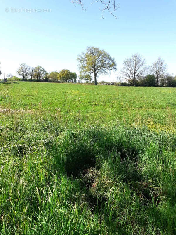 Maison à BOURNEZEAU
