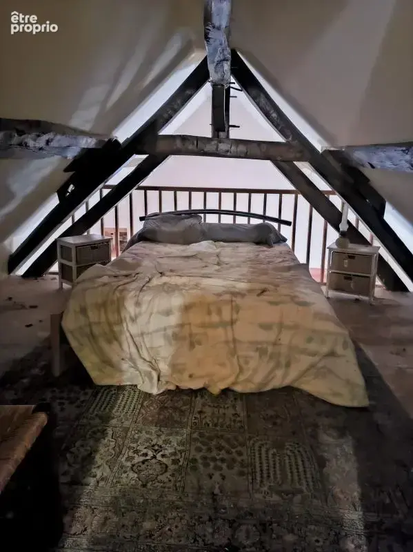 Propriété de charme sur commune de MÉRY SUR CHER - photo 27