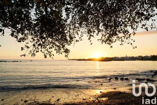 Photo 3 - Maison à SAINT-PIERRE