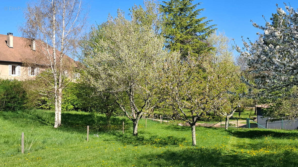 Maison à ARBOIS