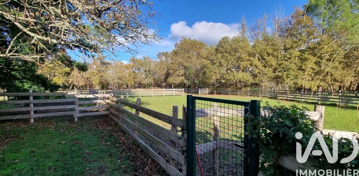 Photo 2 - Maison à SALLES