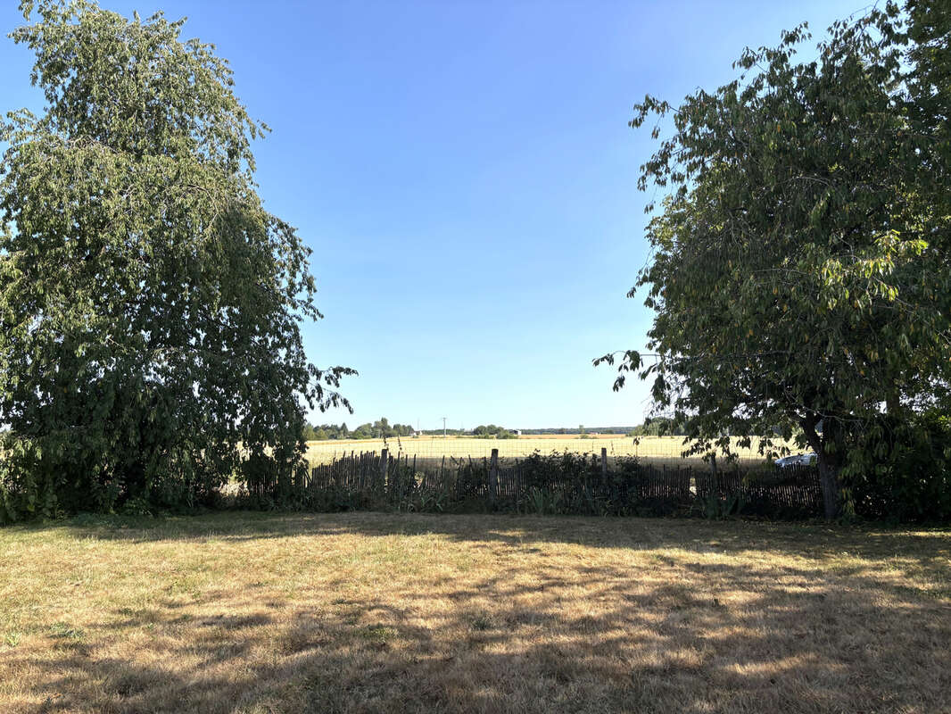 Savigny-sur-clairis - photo 8