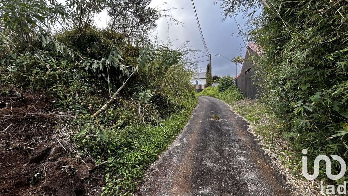 Photo 2 - Terrain à LA PLAINE-DES-PALMISTES