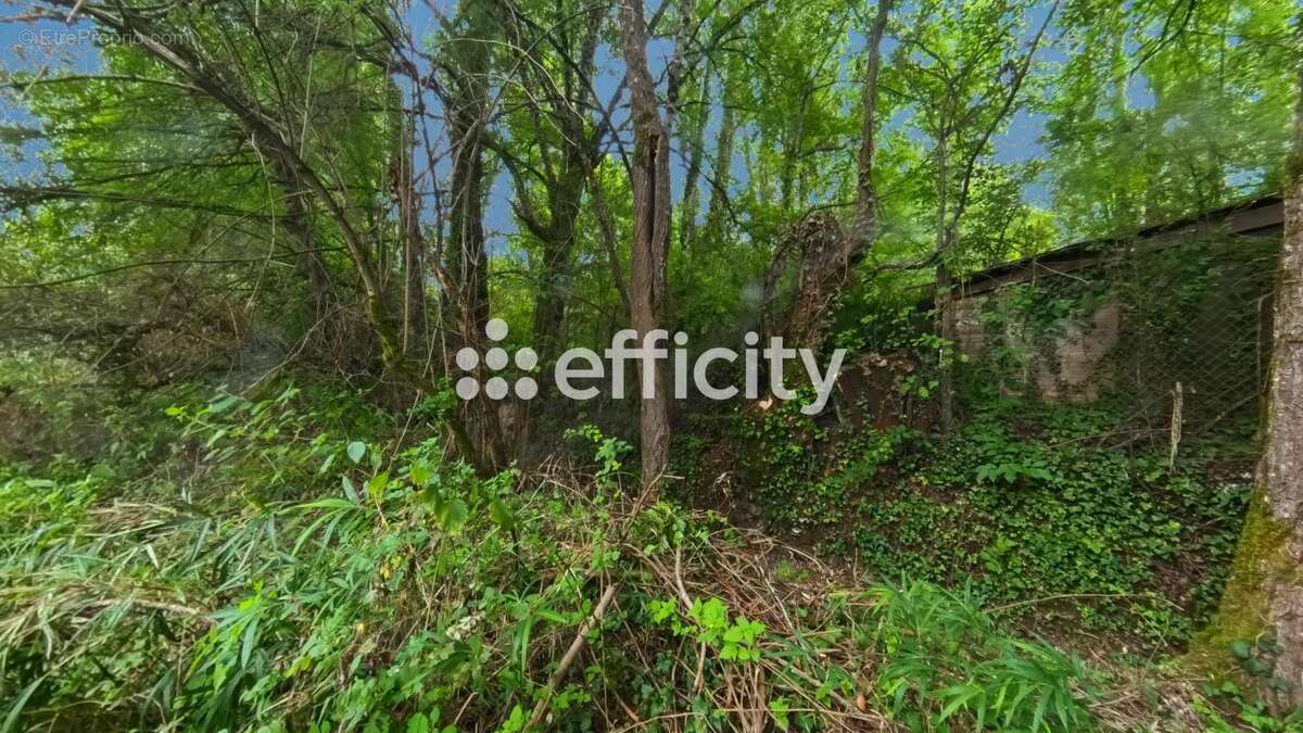 Terrain à MONTAIGU-DE-QUERCY