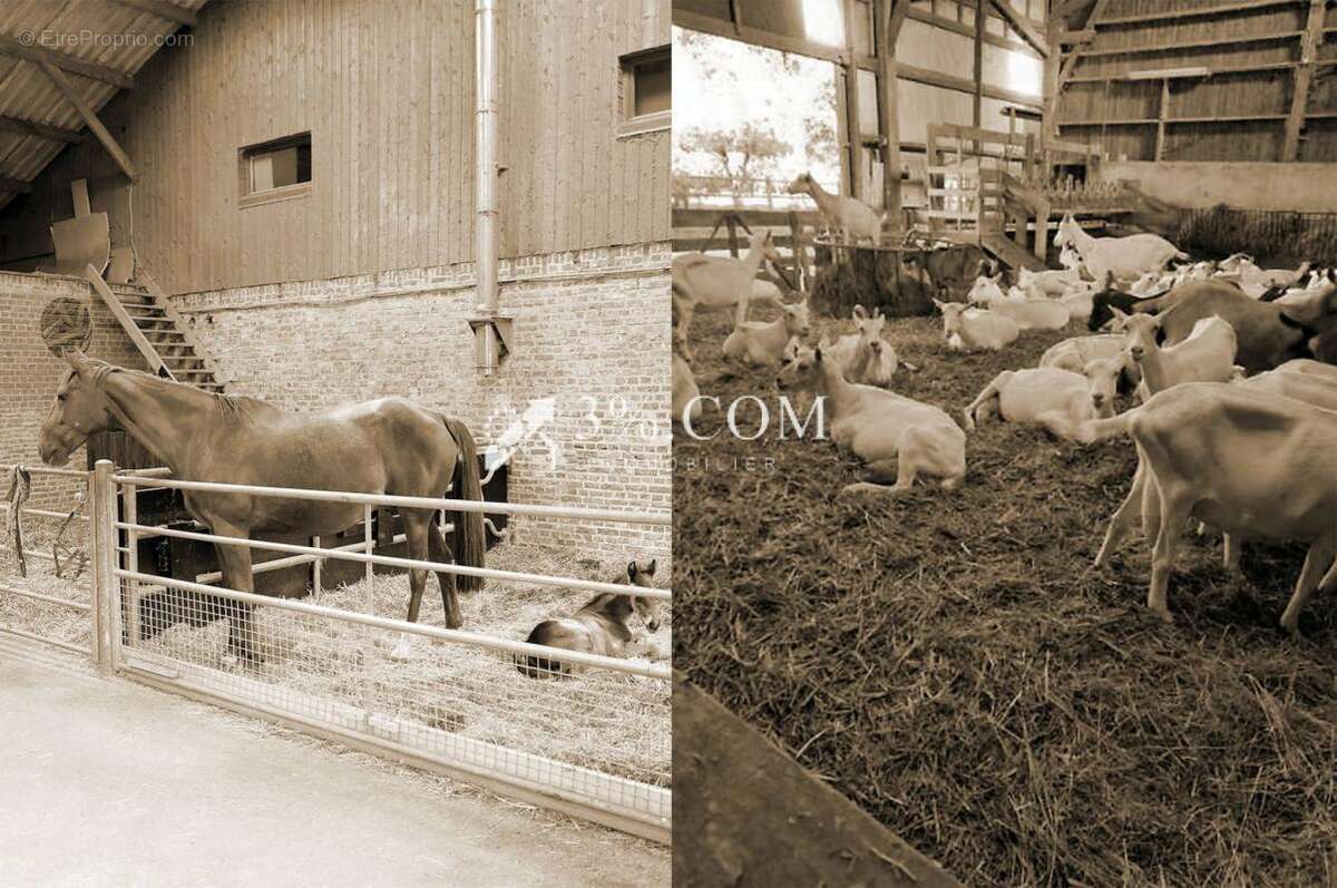 Maison à PREUSEVILLE