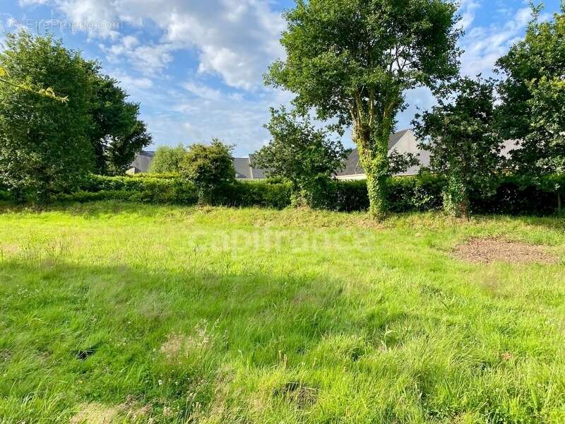 Terrain à LA TRINITE-SURZUR