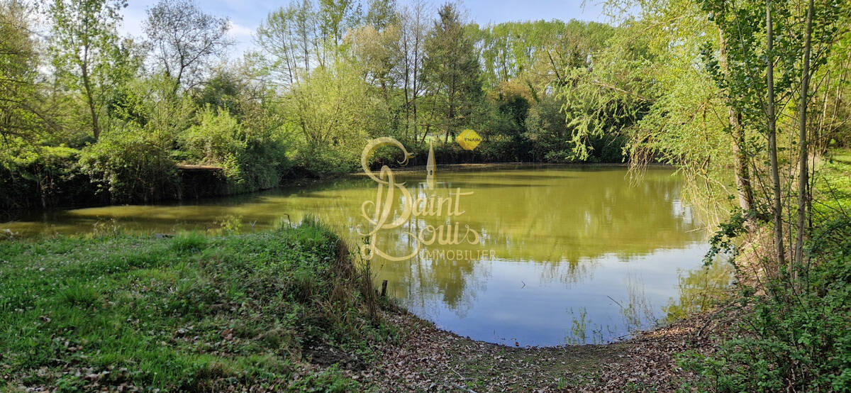 Terrain à CHAVEIGNES