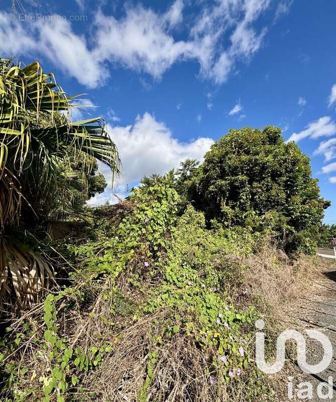 Photo 4 - Terrain à ENTRE-DEUX