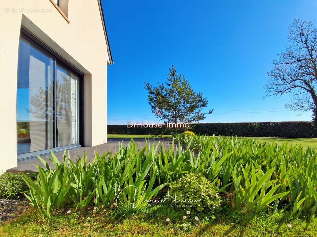 Maison 168 m² à Falaise  - photo 38