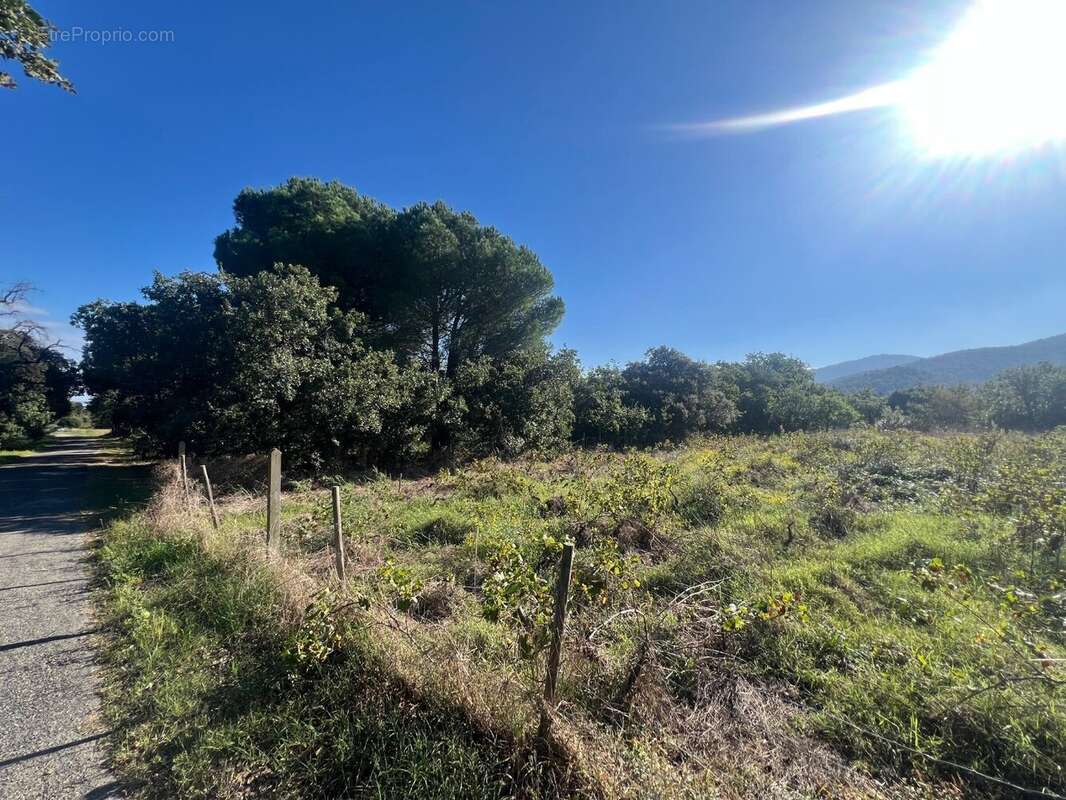Terrain à ARGELES-SUR-MER