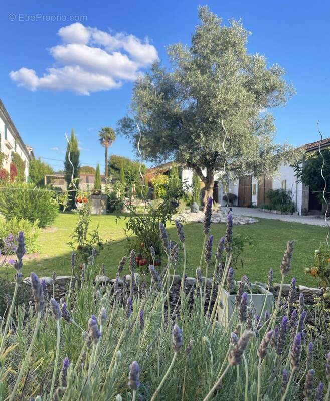 Longerede du xixème de 580m² sur une parcelle de 2295 m² - photo 5