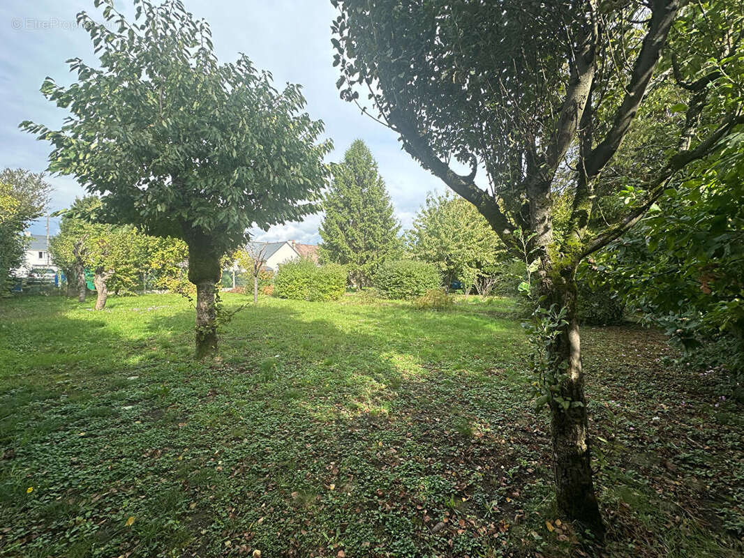 Terrain à JOUE-LES-TOURS