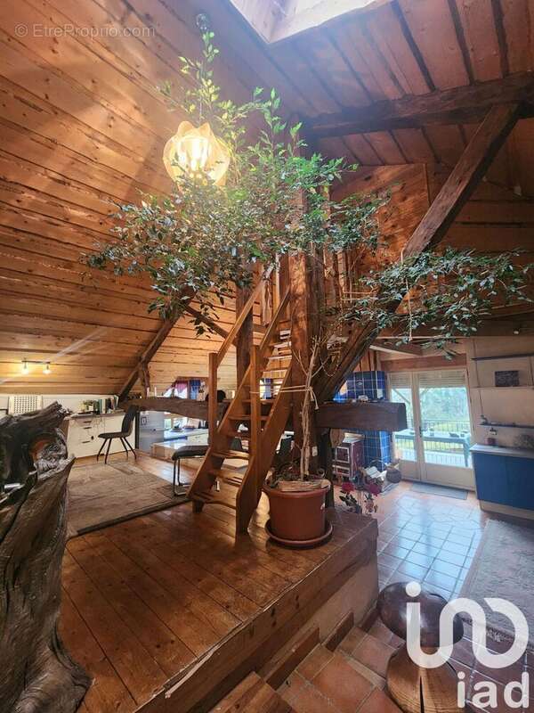 Photo 9 - Maison à CLARAFOND-ARCINE