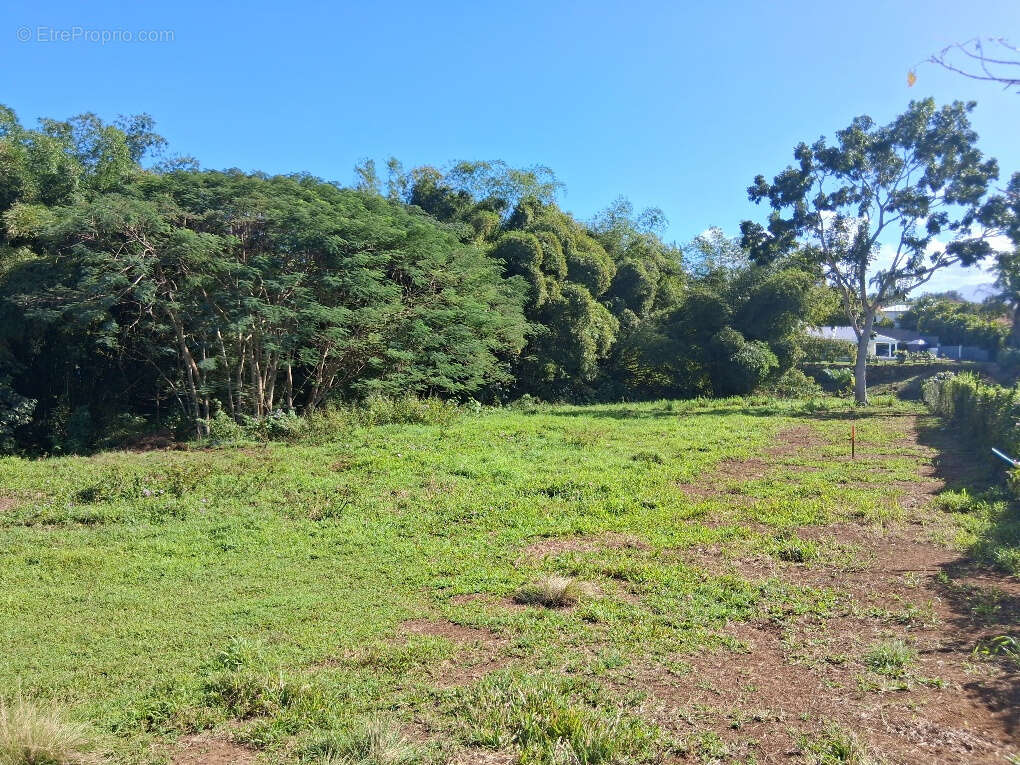 Terrain à BAIE-MAHAULT