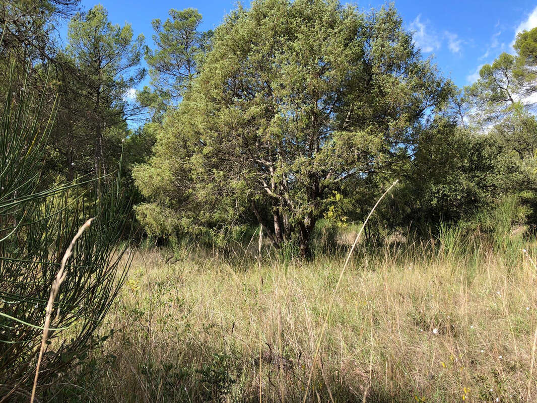 Propriété avec dépendances et vue montagne à Barjols - photo 44