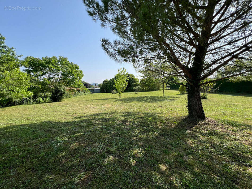 À vendre Maison de plain-pied d'environ 95m2 avec 4 chambres, grand terrain de 2900m2 et aucun vis-à-vis entre Villeneuve-sur-Lo - photo 3