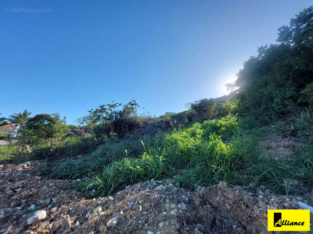 Terrain à SAINT-MARTIN