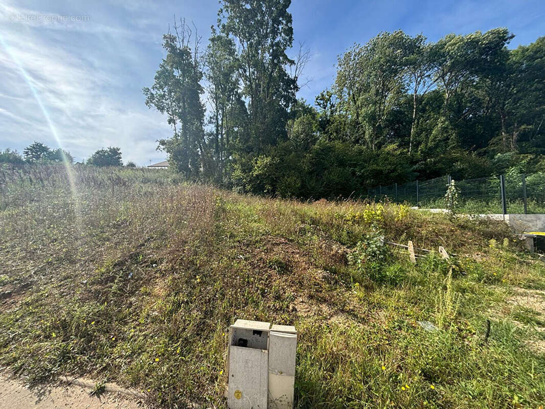 Terrain à NOGENT-LE-ROI