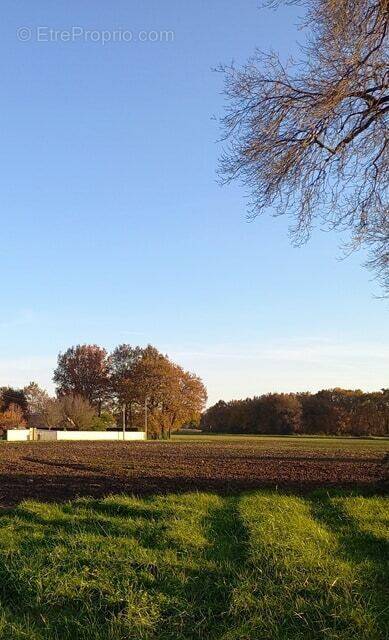 Terrain à SAINT-ROMAIN-DE-BENET