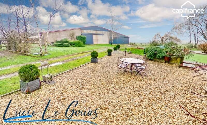 Ferme équestre - photo 11