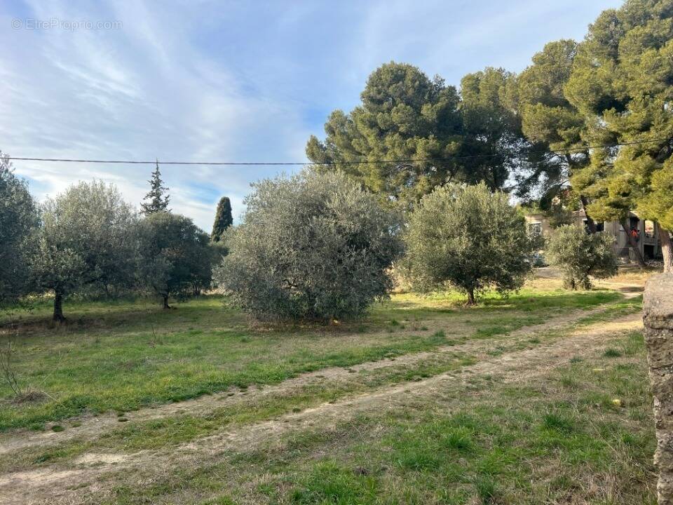 Terrain à SAINT-CHAMAS