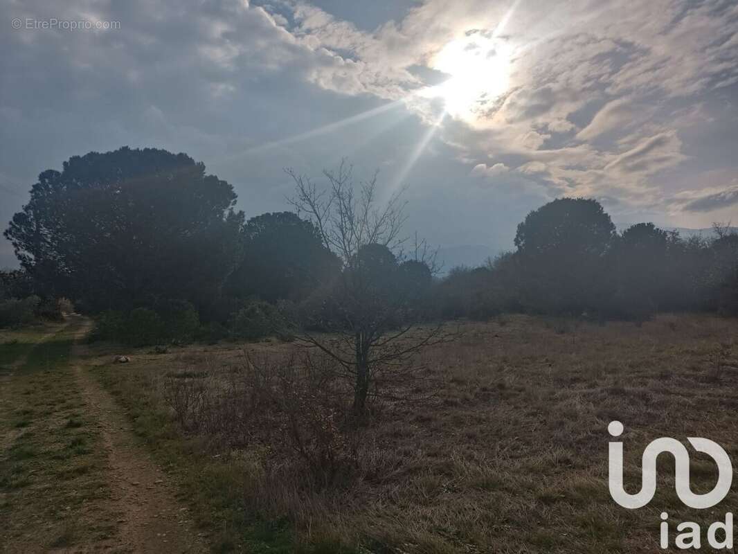 Photo 5 - Terrain à ORTAFFA