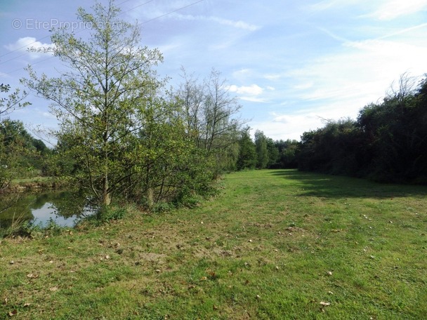 Terrain à VILLEREAU