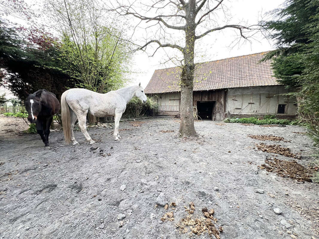 Maison à GUARBECQUE