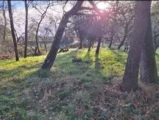 Terrain à PIBRAC